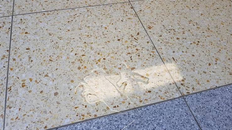 Piso Granilite Lapidado